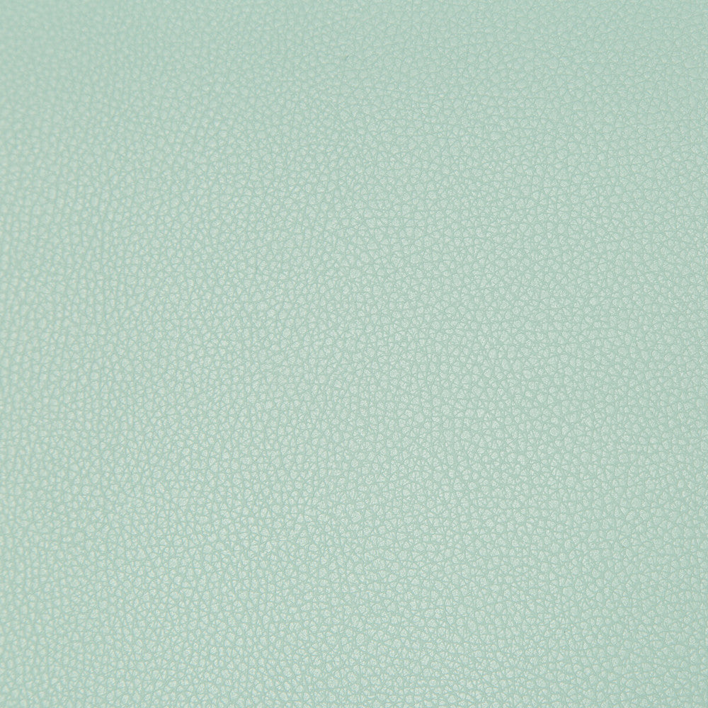 Syrus Robins Egg by Kravet Contract Fabric - SILICONE - 100% China HEAVY Horizontal: 0 and Vertical: 0 55 - Fabric Carolina -