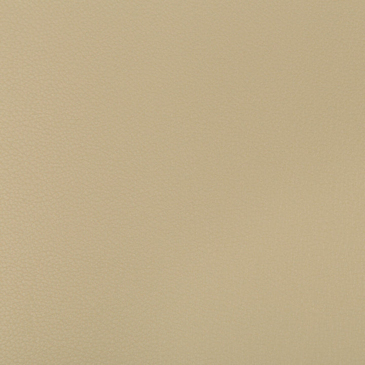 Syrus Stucco by Kravet Contract Fabric SILICONE - 100% China HEAVY Horizontal: 0 and Vertical: 0 55 - Fabric Carolina -