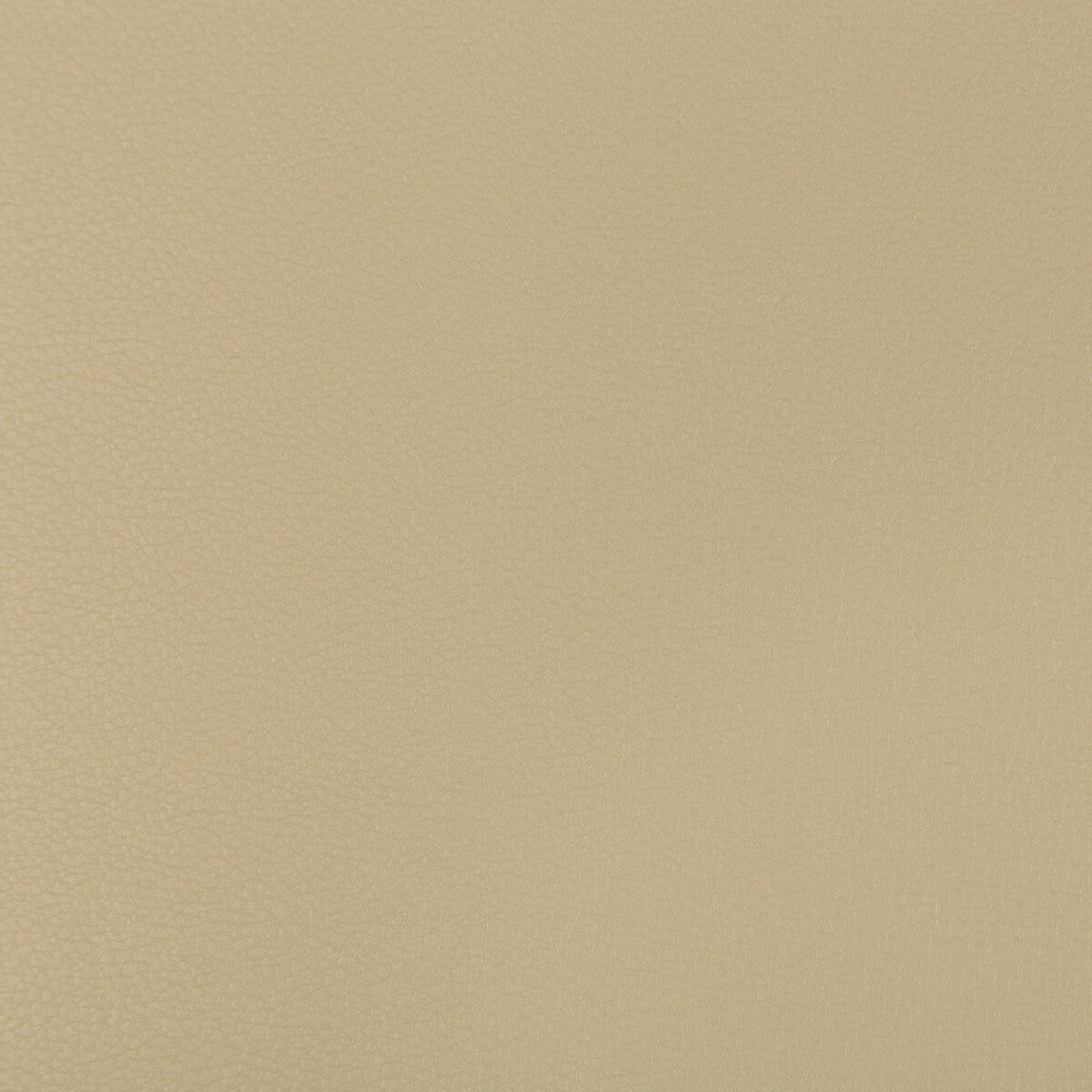 Syrus Stucco by Kravet Contract Fabric SILICONE - 100% China HEAVY Horizontal: 0 and Vertical: 0 55 - Fabric Carolina -