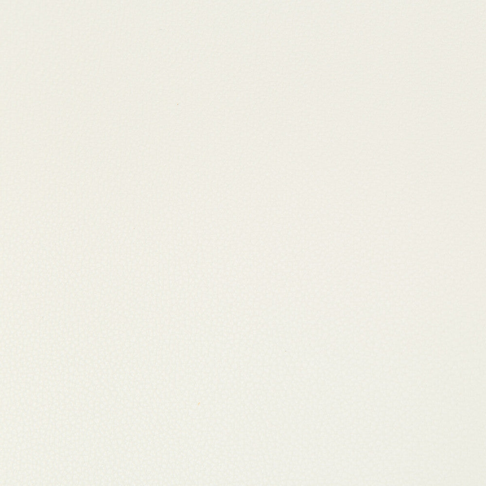 Syrus Gesso by Kravet Contract Fabric - SILICONE - 100% China HEAVY Horizontal: 0 and Vertical: 0 55 - Fabric Carolina -