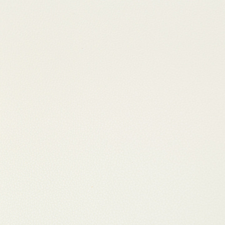 Syrus Gesso by Kravet Contract Fabric - SILICONE - 100% China HEAVY Horizontal: 0 and Vertical: 0 55 - Fabric Carolina -