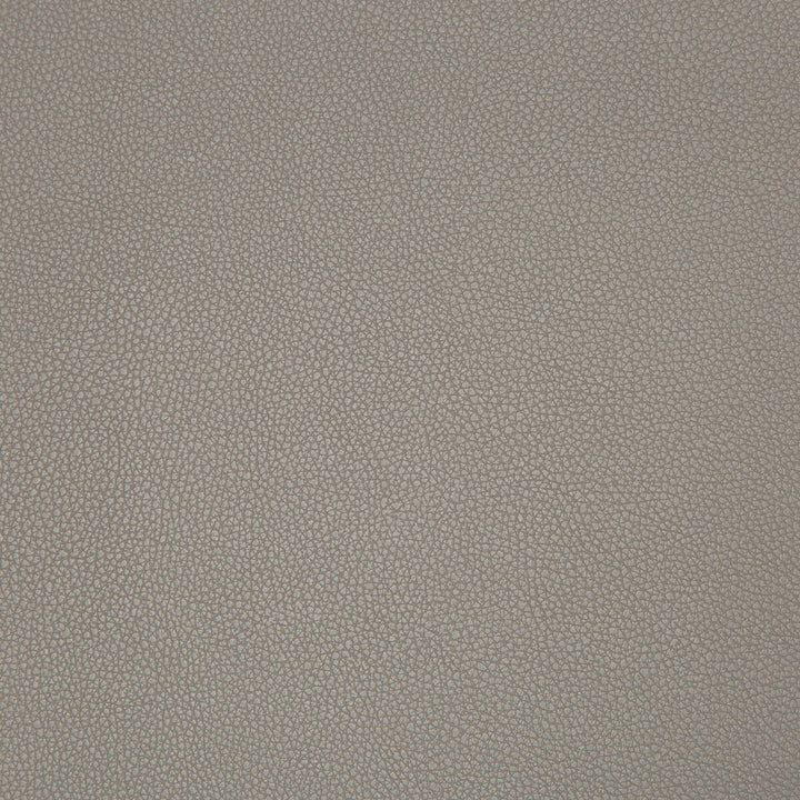 Syrus Truffle by Kravet Contract Fabric SILICONE - 100% China HEAVY Horizontal: 0 and Vertical: 0 55 - Fabric Carolina -