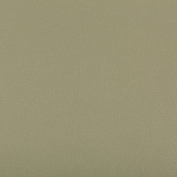 Syrus Sage by Kravet Contract Fabric - SILICONE - 100% China HEAVY Horizontal: 0 and Vertical: 0 55 - Fabric Carolina -