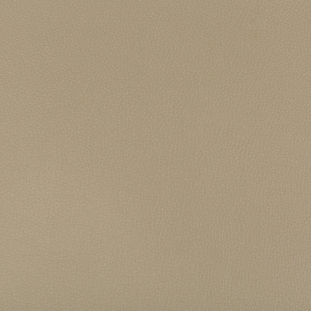 Syrus Elm by Kravet Contract Fabric SILICONE - 100% China HEAVY Horizontal: 0 and Vertical: 0 55 - Fabric Carolina -