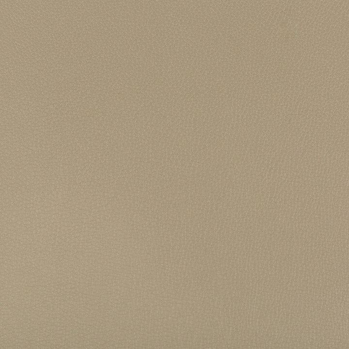 Syrus Elm by Kravet Contract Fabric - SILICONE - 100% China HEAVY Horizontal: 0 and Vertical: 0 55 - Fabric Carolina -