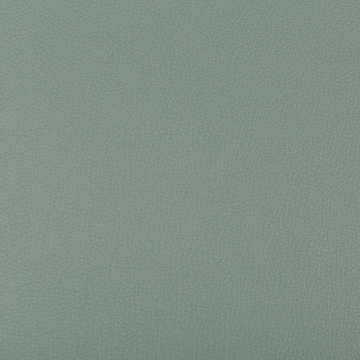 Syrus Herbal by Kravet Contract Fabric Kravet Contract Fabric Syrus HerbalFabric SILICONE - 100% China </p><p>Repeat: H: 0, V: 0 55 - Fabric Carolina -