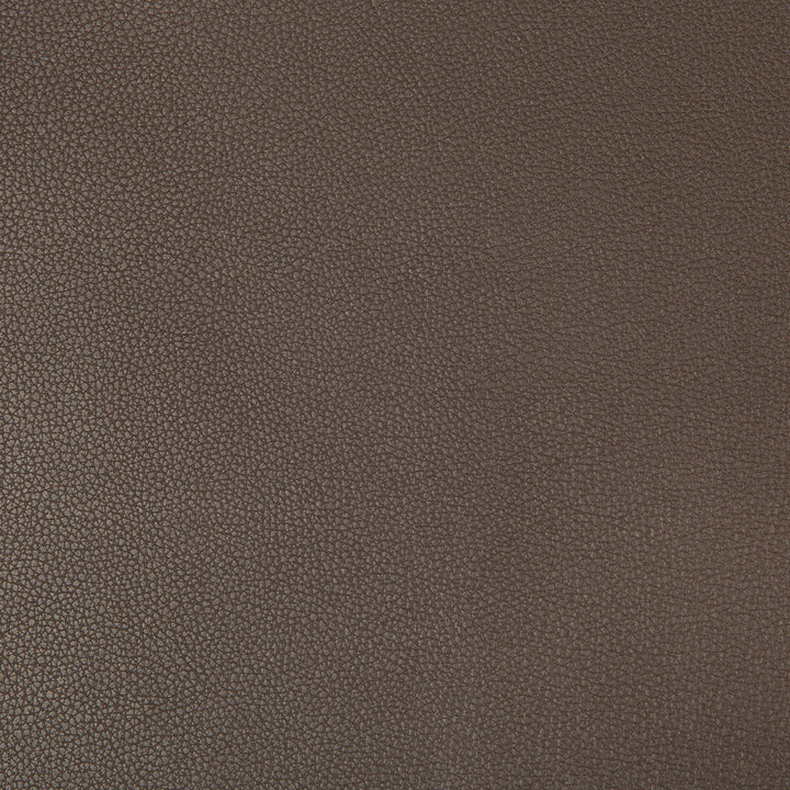 Syrus Espresso by Kravet Contract Fabric SILICONE - 100% China HEAVY Horizontal: 0 and Vertical: 0 55 - Fabric Carolina -