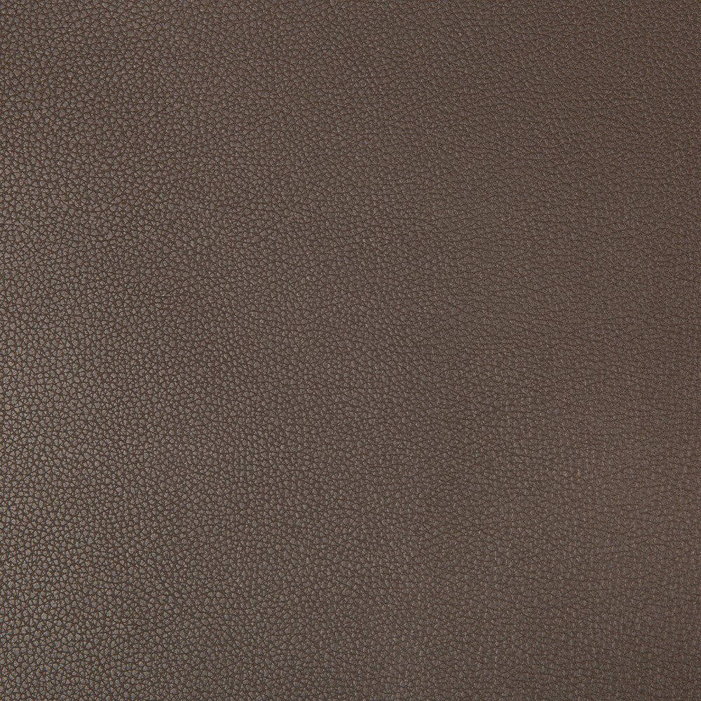 Syrus Espresso by Kravet Contract Fabric - SILICONE - 100% China HEAVY Horizontal: 0 and Vertical: 0 55 - Fabric Carolina -