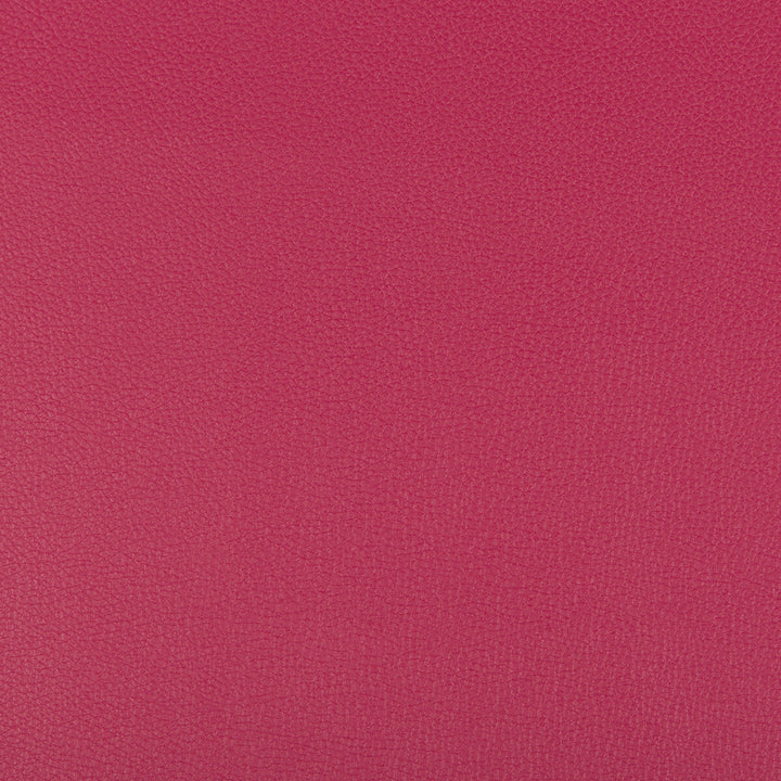 Syrus Fuschia by Kravet Contract Fabric Kravet Contract Fabric Syrus FuschiaFabric SILICONE - 100% China </p><p>Repeat: H: 0, V: 0 55 - Fabric Carolina -