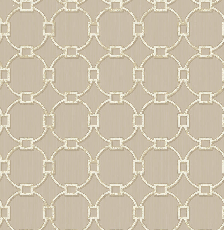 Charlemagne Links Pewter Trellis Wallpaper by Brewster Medley Covers about 56.4 square feet 20.5-in by 33-ft long roll Unpasted 20.5 - Fabric Carolina -