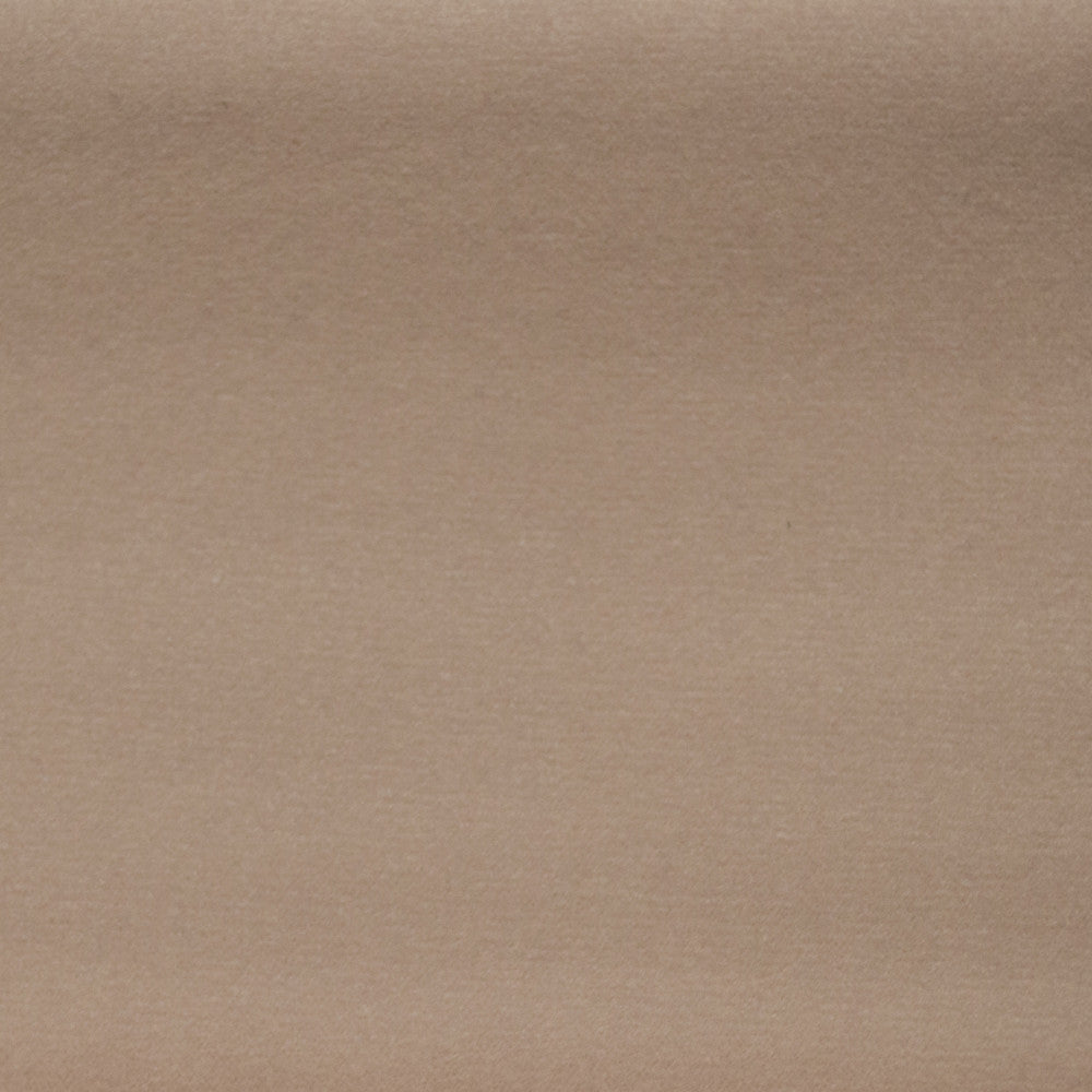 Sahara Cameo by Europatex Fabric Sahara 100% Polyester 0.00" 57.00 inches - Fabric Carolina -