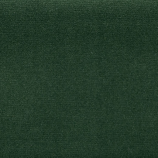 Sahara - Evergreen by Europatex Fabric Sahara 100% Polyester China See Sample Horizontal: N/A and Vertical: N/A 57.00 inches  - Fabric Carolina -