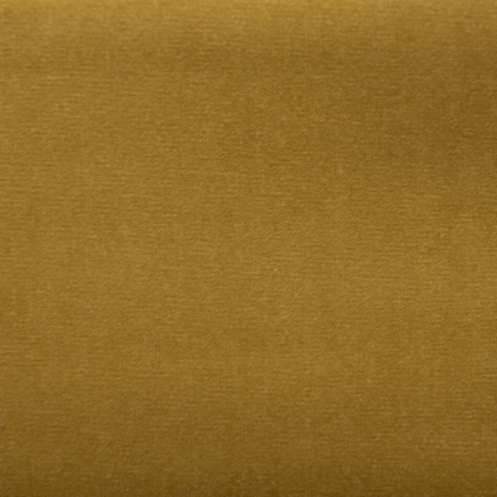 Sahara Lion by Europatex Fabric Sahara 100% Polyester 0.00" 57.00 inches - Fabric Carolina -