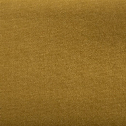 Sahara - Lion by Europatex Fabric Sahara 100% Polyester China See Sample Horizontal: N/A and Vertical: N/A 57.00 inches  - Fabric Carolina -