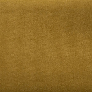 Sahara Lion by Europatex Fabric