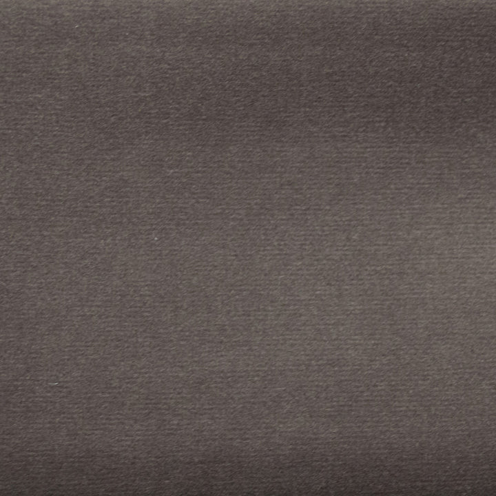 Sahara Mocha by Europatex Fabric Sahara 100% Polyester 0.00" 57.00 inches - Fabric Carolina -