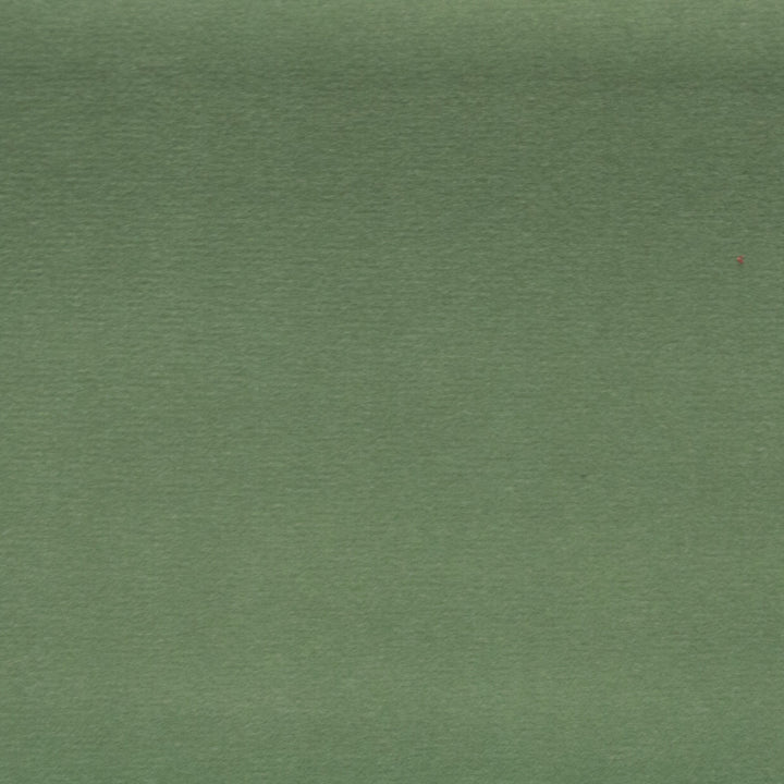 Sahara Sea foam by Europatex Fabric Sahara 100% Polyester China 50,000 Double Rubs Horizontal: N/A and Vertical: N/A 56" - Fabric Carolina -