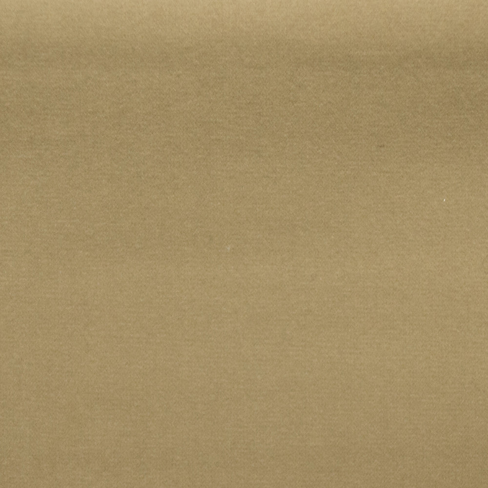 Sahara Tan by Europatex Fabric Sahara 100% Polyester 0.00" 57.00 inches - Fabric Carolina -