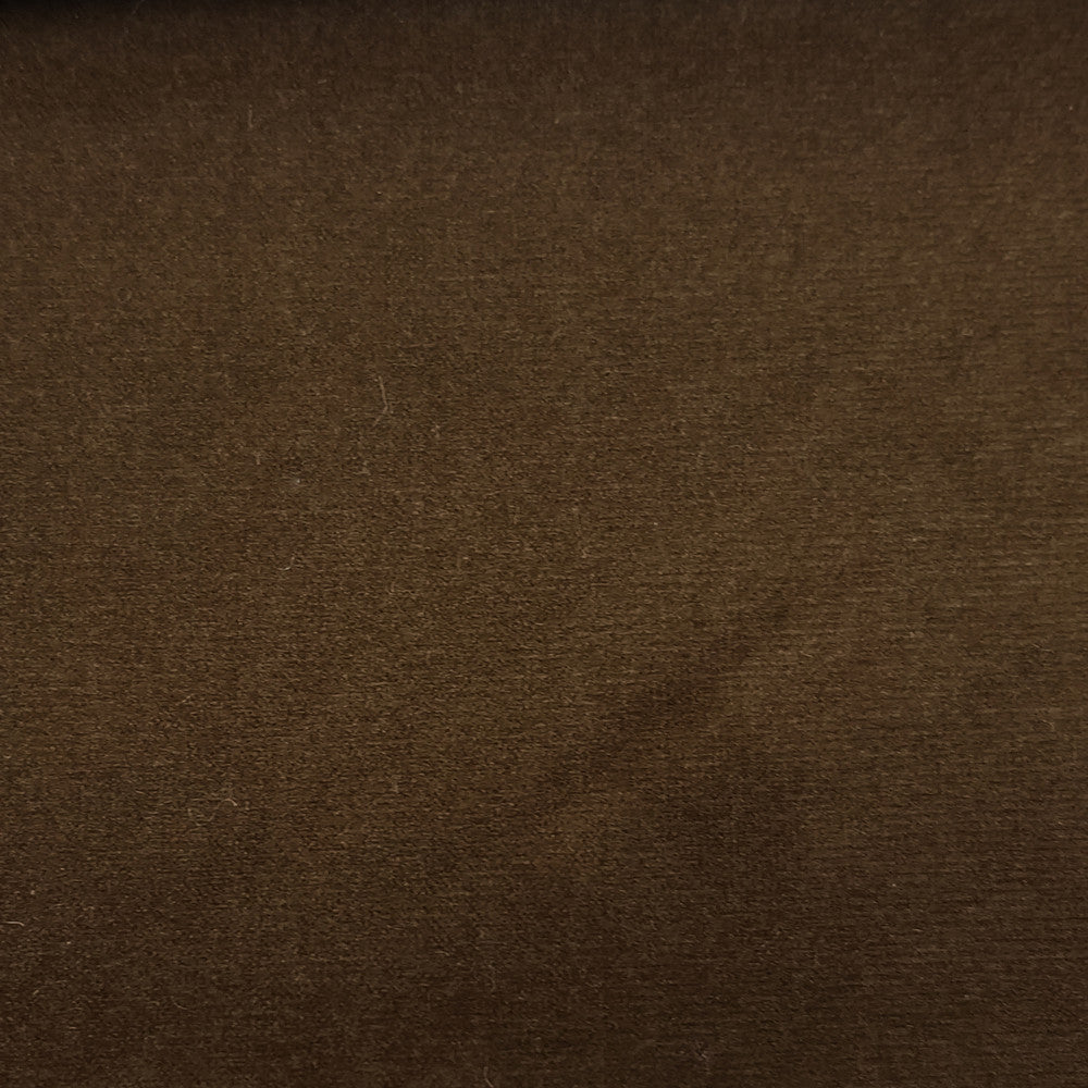 Sahara Twig by Europatex Fabric Sahara 100% Polyester 0.00" 57.00 inches - Fabric Carolina -