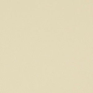 Salinger Canvas WSL-005 by Nassimi Fabric