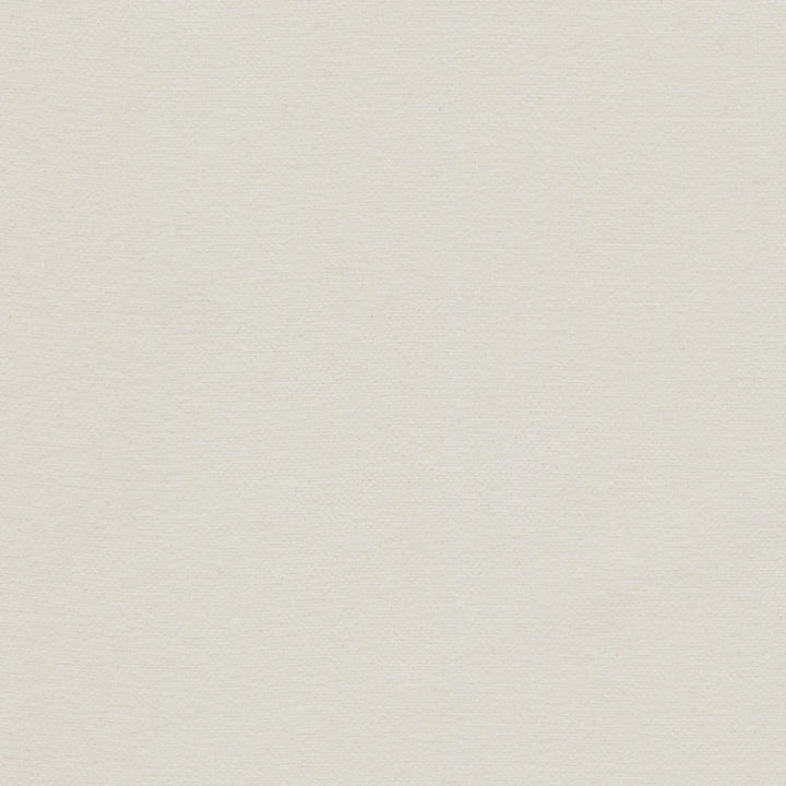 Samson Buff by Europatex Fabric Samson 100% Polyester 0.00" 55.00 inches - Fabric Carolina -