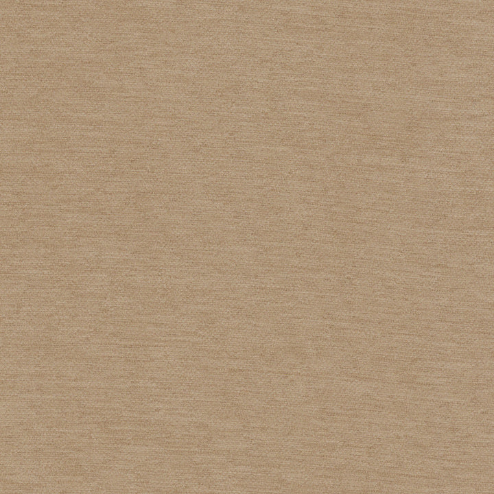 Samson Latte by Europatex Designer Fabric Samson 100% Polyester 0.00" 55.00 inches - Swanky Fabrics -
