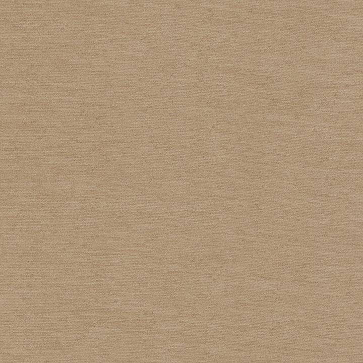 Samson Latte by Europatex Fabric Samson 100% Polyester 0.00" 55.00 inches - Fabric Carolina -