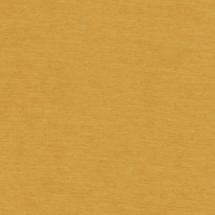Samson Mustard by Europatex Designer Fabric Samson 100% Polyester 0.00" 55.00 inches - Swanky Fabrics -