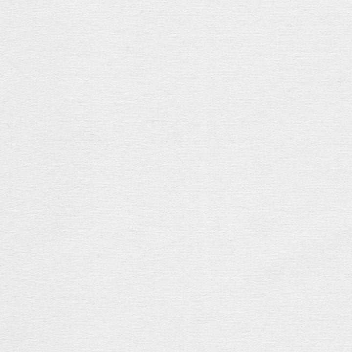 Samson Pure White by Europatex Fabric Samson 100% Polyester 0.00" 55.00 inches - Fabric Carolina -
