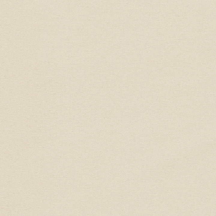 Samson Quartz by Europatex Fabric Samson 100% Polyester 0.00" 55.00 inches - Fabric Carolina -