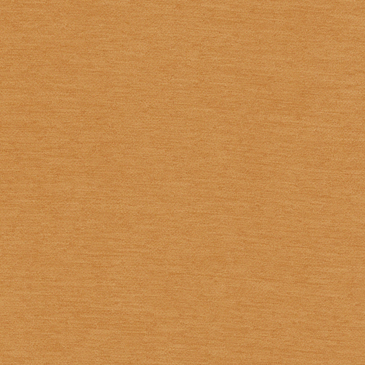 Samson Spice by Europatex Designer Fabric Samson 100% Polyester 0.00" 55.00 inches - Swanky Fabrics -