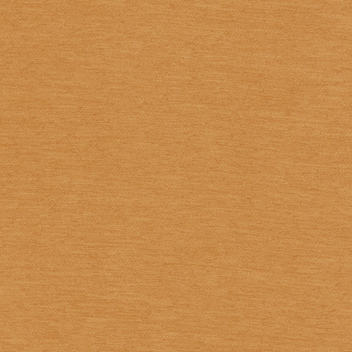 Samson Spice by Europatex Fabric Samson 100% Polyester 0.00" 55.00 inches - Fabric Carolina -