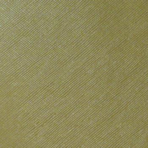 Savanna Green Tea by Nassimi Fabric