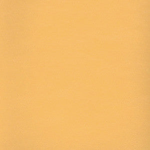 Savoy Curry SAV-9756 by Spradling Fabric