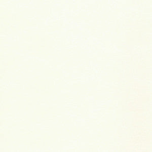 Savoy Dove White by Spradling Fabric
