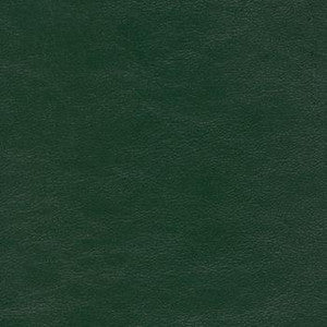 Savoy Evergreen by Spradling Fabric