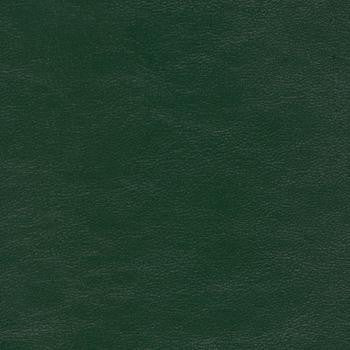 Savoy Evergreen SAV-9761 by Spradling Fabric See sample 100% Vinyl USA or Imported Water-based cleaning agents and foam may be used for cleaning. Cleaning by a professional cleaning service is recommended. 54 - Fabric Carolina -