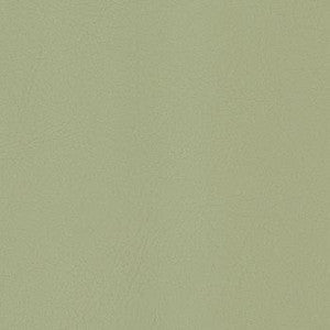 Sequel Bristle by Spradling Fabric