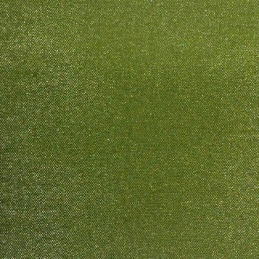 Shantung 118" (FR) - Aloe by Europatex Fabric Shantung 100% Polyester China See Sample Horizontal: N/A and Vertical: N/A 118.00 inches  - Fabric Carolina -