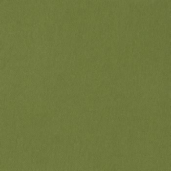 Silvertex Basil STX-8820 by Spradling Fabric our website for purchase 100% Vinyl USA or Asia Water-based cleaning agents and foam may be used for cleaning. This fabric may also be cleaned with mild, water-free solvents. Cleaning by a professional cleaning service is recommended. Horizontal: - and Vertical: - 54" - Fabric Carolina -