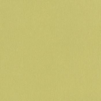 Silvertex Celery STX-8819 by Spradling Fabric our website for purchase 100% Vinyl USA or Asia Water-based cleaning agents and foam may be used for cleaning. This fabric may also be cleaned with mild, water-free solvents. Cleaning by a professional cleaning service is recommended. Horizontal: - and Vertical: - 54" - Fabric Carolina -