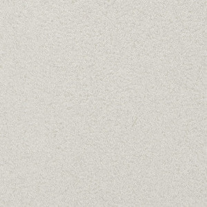 SmartSuede Salt 1001627 by Crypton Fabric