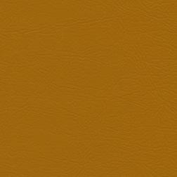 Soho Gold by Nassimi Fabric See sample 100% Vinyl 50000 Horizontal: Not Applicable and Vertical: Not Applicable 54" - Fabric Carolina -