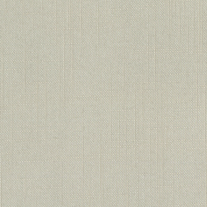 Sombre Sooty Kelp by Europatex Designer Fabric Sombre 100% Polyester 0.00 55.00 inches - Swanky Fabrics -