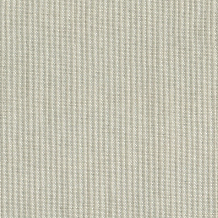 Sombre Sooty Kelp by Europatex Fabric Sombre 100% Polyester 0.00 55.00 inches - Fabric Carolina -