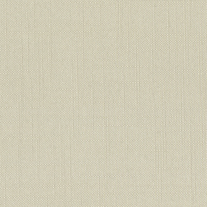 Sombre Sooty Parchment by Europatex Fabric Sombre 100% Polyester 0.00 55.00 inches - Fabric Carolina -