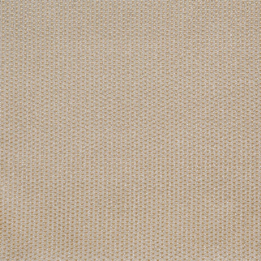 Spectacular - B - Cream by Europatex Fabric Spectacular 100% Polyester China See Sample Horizontal: N/A and Vertical: N/A 110.00 inches  - Fabric Carolina -