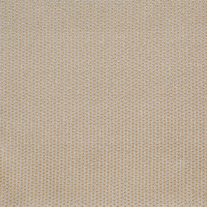 Spectacular B Cream by Europatex Fabric Spectacular 100% Polyester 0.40" H, 0.20" V 110.00 inches - Fabric Carolina -