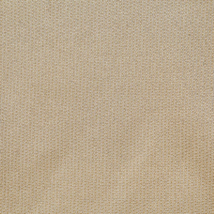 Spectacular B Gold by Europatex Fabric Spectacular 100% Polyester 0.40" H, 0.20" V 110.00 inches - Fabric Carolina -