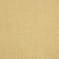 48082  Spectrum Almond by Sunbrella Fabric our website for purchase 100% Sunbrella Acrylic USA (see sample) n/a 54"  - Fabric Carolina -